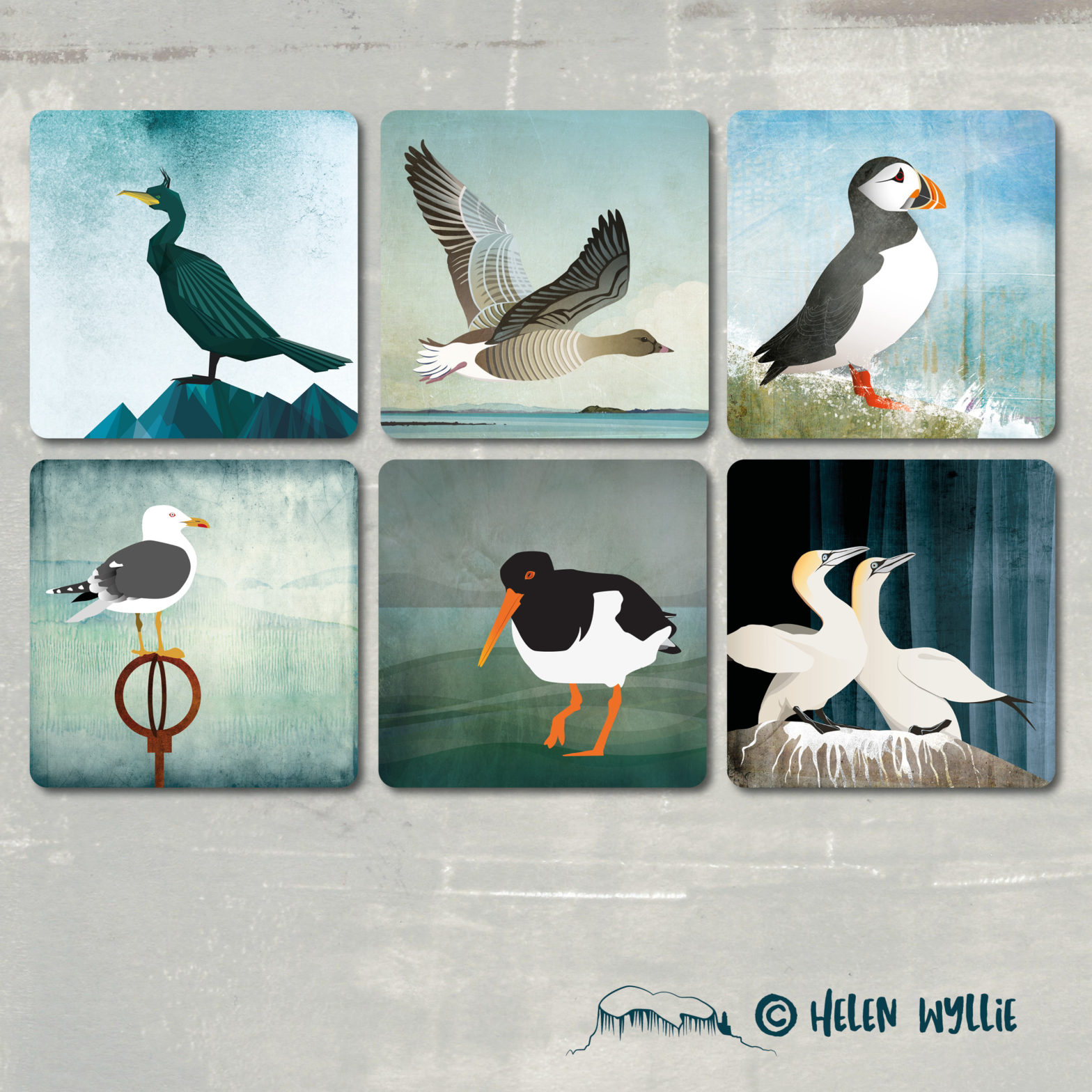 bird coasters - seabirds - wylliecat design