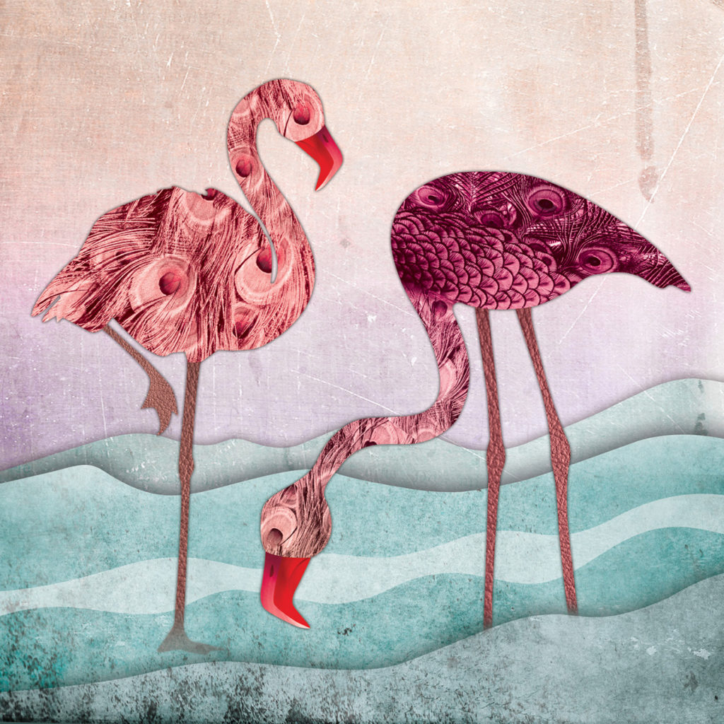 helen wyllie flamingos