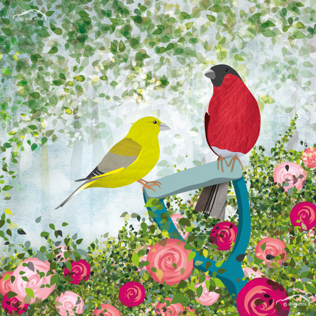 helen wyllie Gardening finches