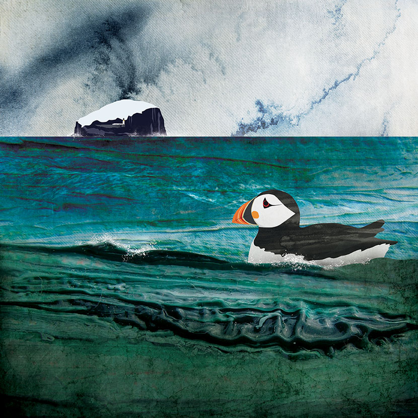 helen wyllie Swimming Puffin