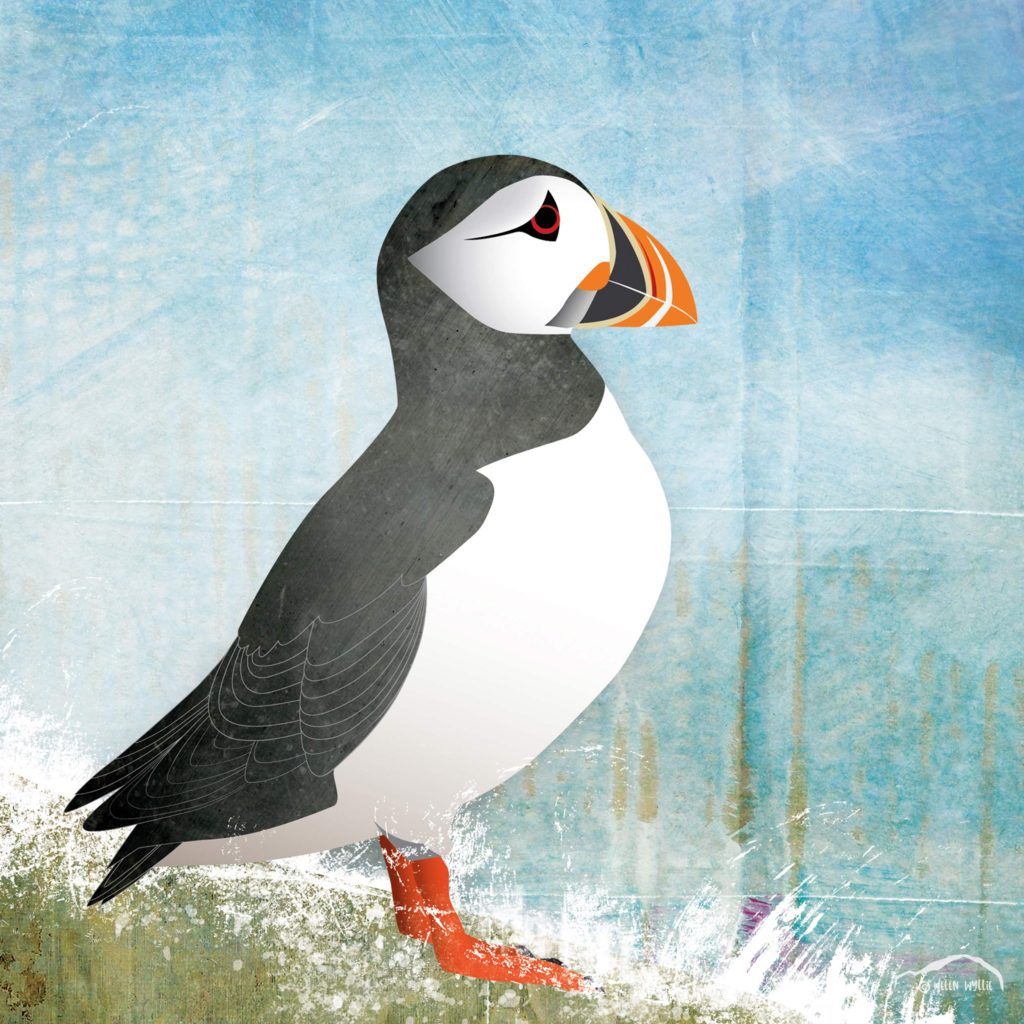 helen wyllie puffin print greetings card