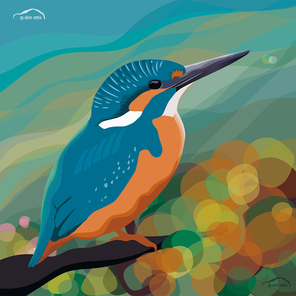 Kingfisher by helen wyllie