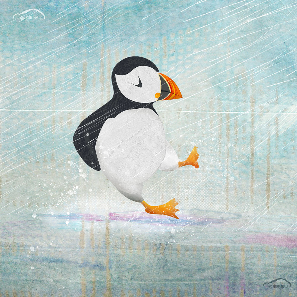 Splashing puffin by helen wyllie greetings card