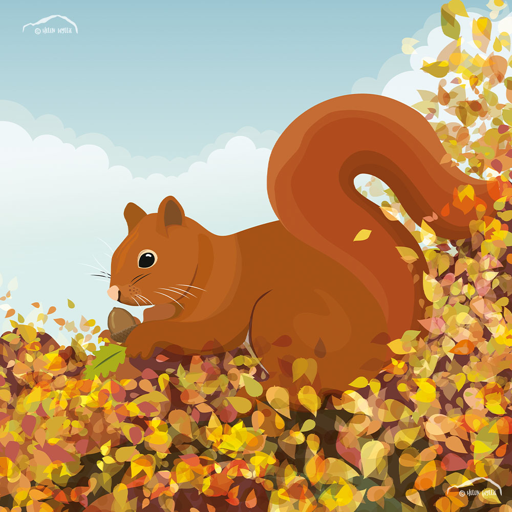 Squirrel by helen wyllie print greetings card