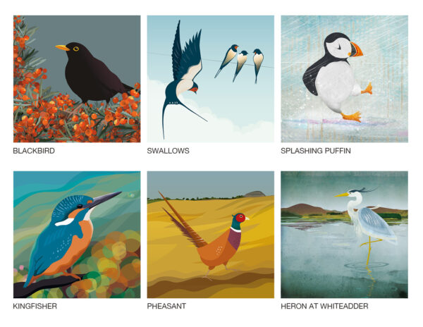 Helen Wyllie bird art greetings cards