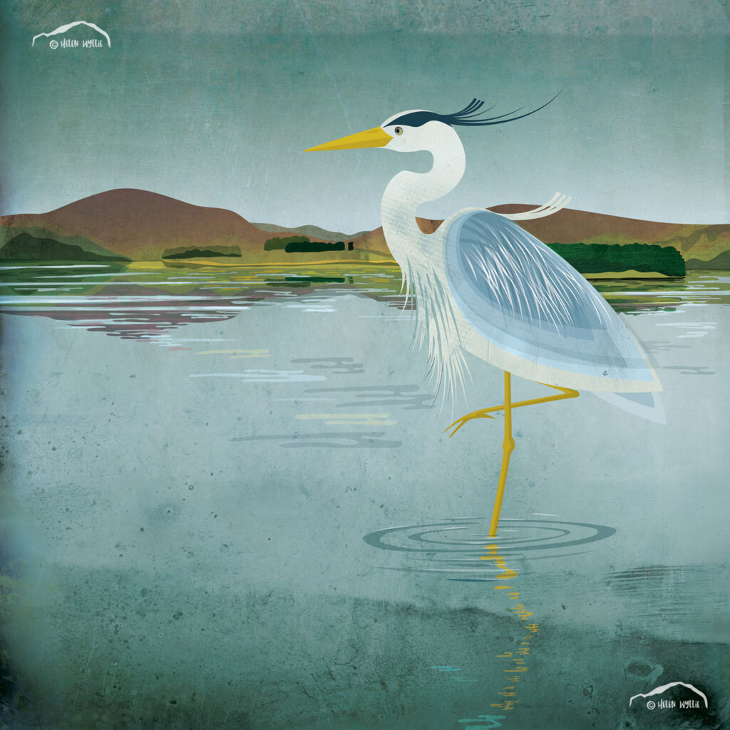 Heron at Whiteadder by helen wyllie print greetings card