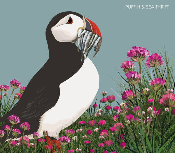 helen wyllie 2024 calendar puffin and sea thrift