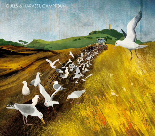 helen wyllie 2024 calendar harvest and gulls