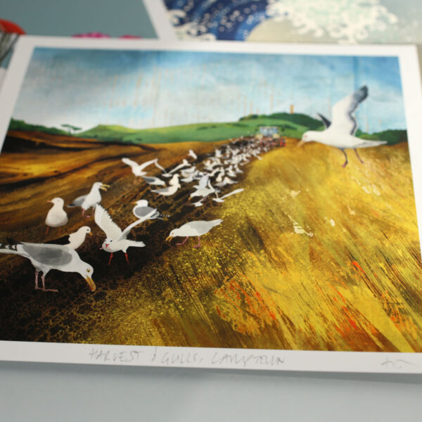 harvest & gulls by helen wyllie