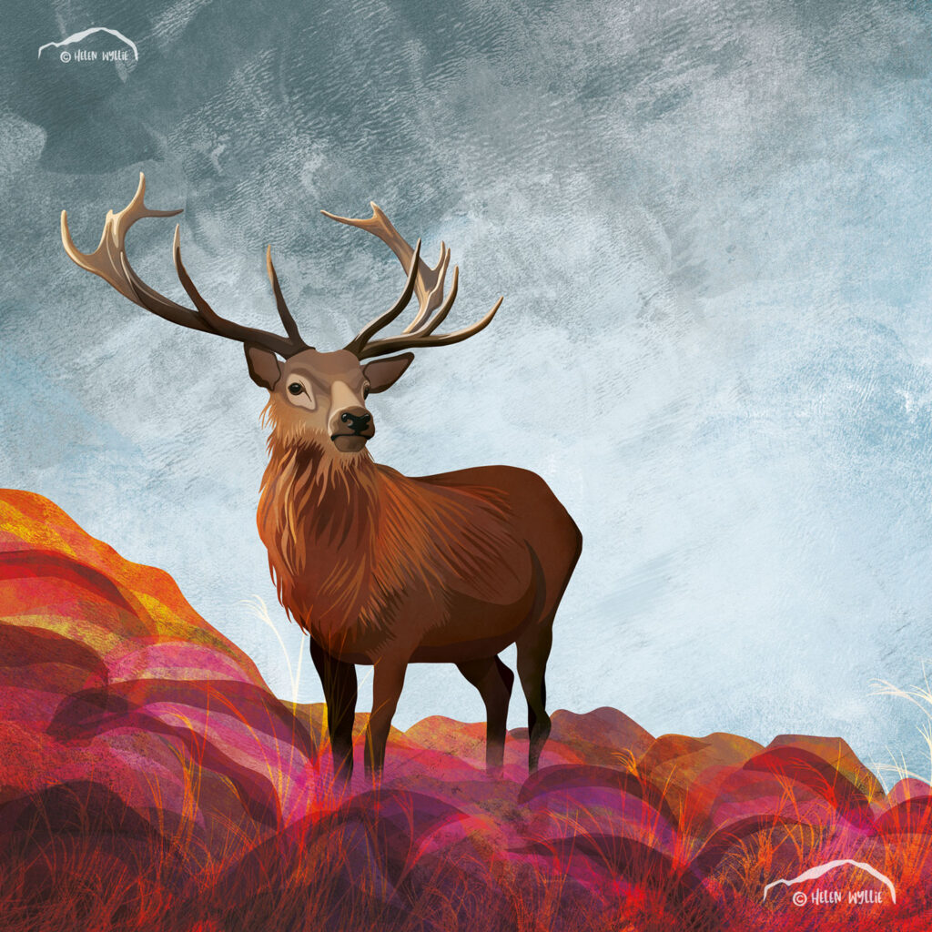 autumn stag by helen wyllie print greetings card