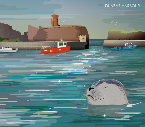 helen wyllie 2025 calendar dunbar harbour seal